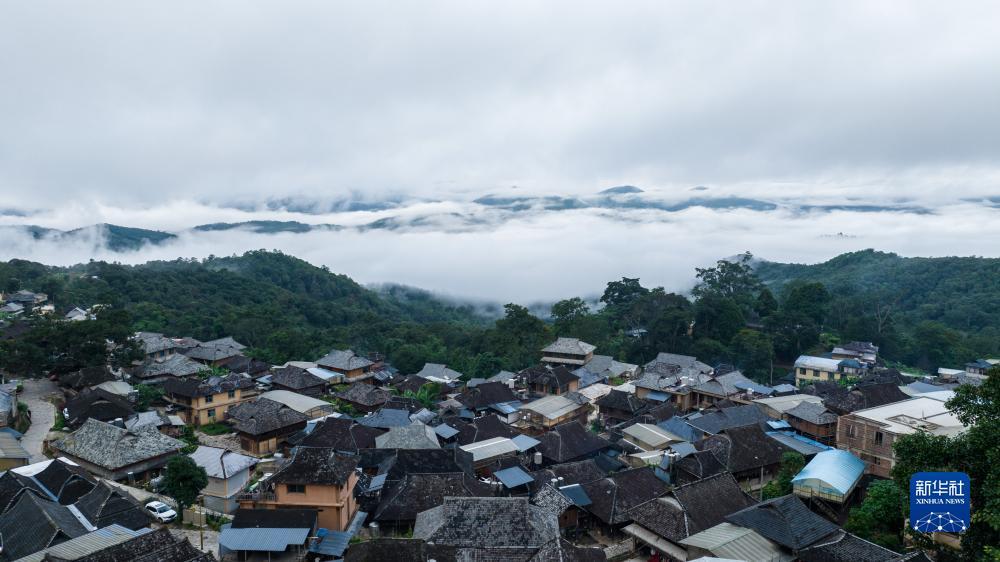 035qipai